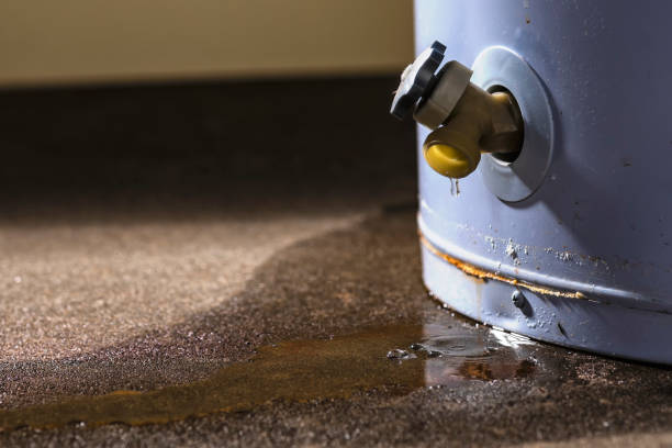Best 24-hour water damage restoration  in Claxton, GA