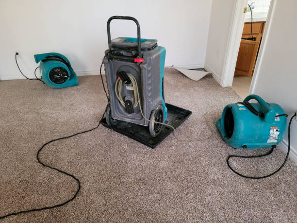 Best Water damage contractors near me  in Claxton, GA
