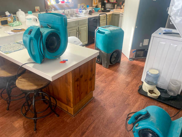 Best Water damage mitigation services  in Claxton, GA