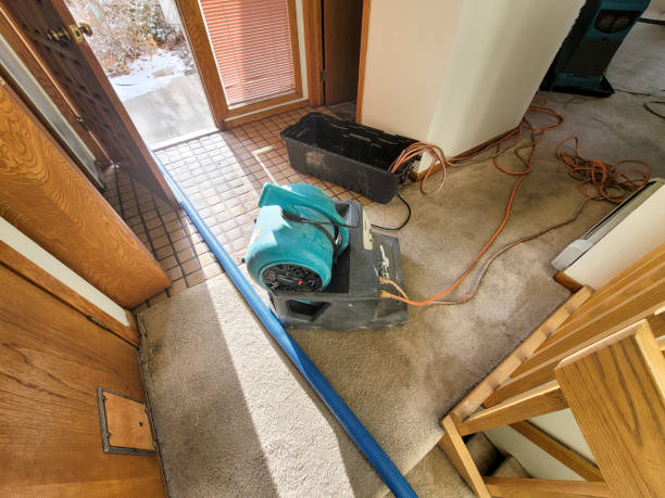 Best Water damage restoration experts  in Claxton, GA