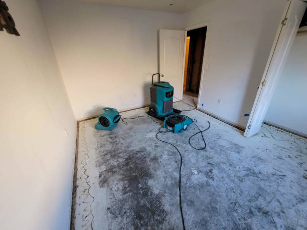 Best Ceiling water damage repair  in Claxton, GA