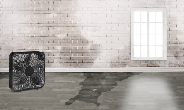 Best Flood restoration services  in Claxton, GA