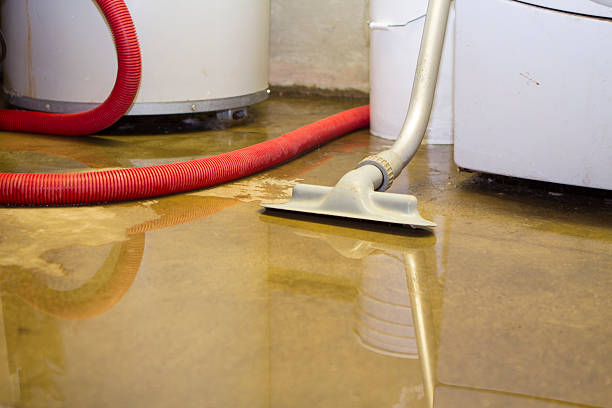 Best Emergency water damage restoration  in Claxton, GA