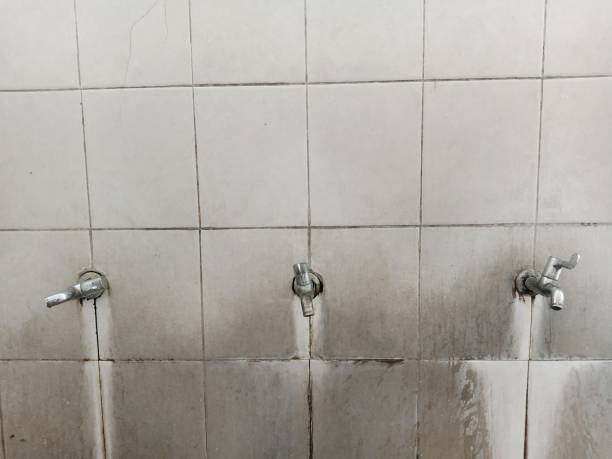Best Fire Damage Restoration  in Claxton, GA