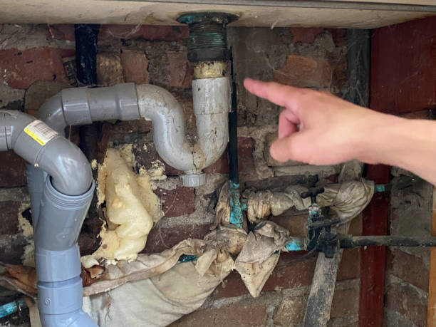 Best Water damage contractors near me  in Claxton, GA