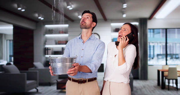 Best Ceiling water damage repair  in Claxton, GA