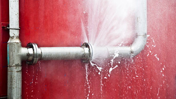 Best Flood damage cleanup  in Claxton, GA
