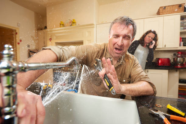Best Mold removal after water damage  in Claxton, GA